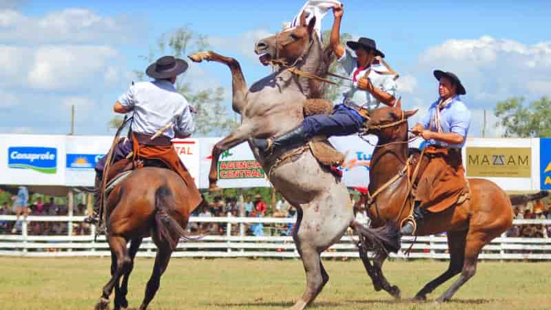 fiesta aparcerias san jose