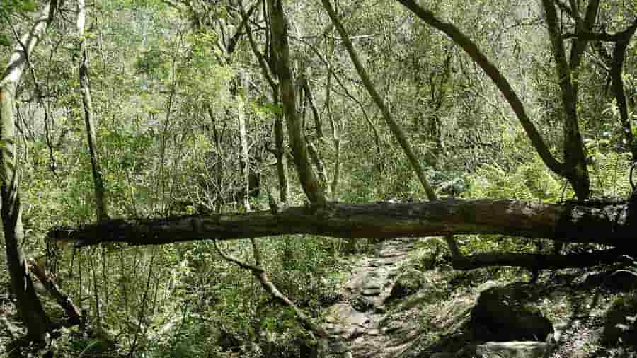 quebrada de los cuervos